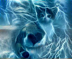 heart cat lightning