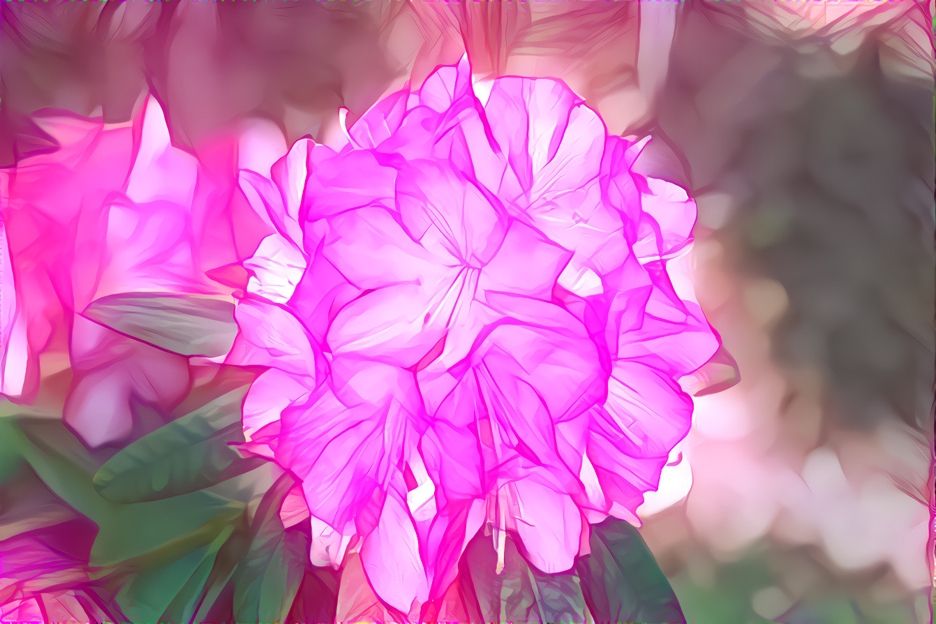 Rhododendron silk