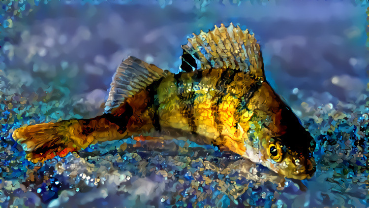 Once in a while an ordinary river bass can turn into a Magic Talking Golden fish from a fairy tale