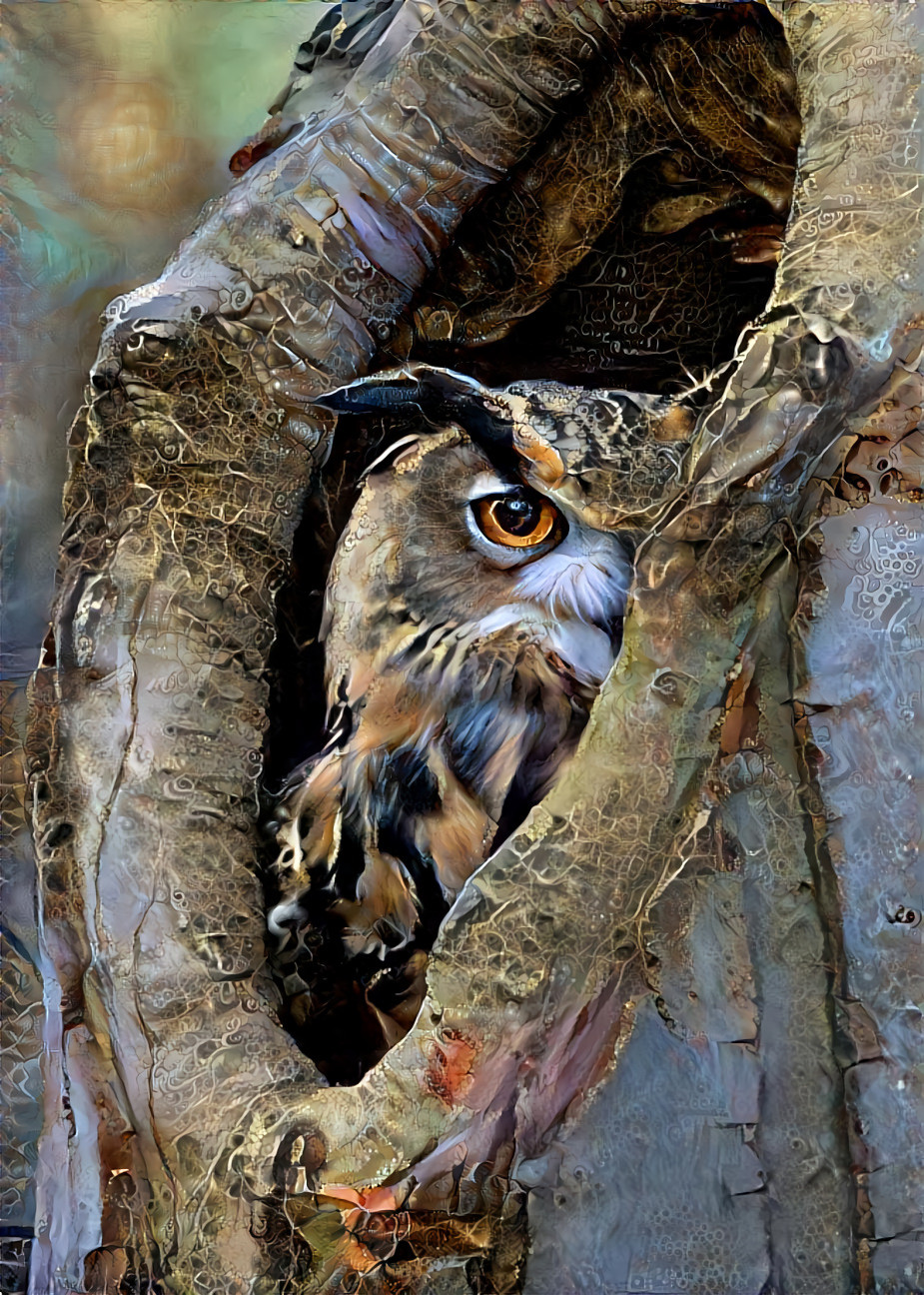 Owl. Style by Sanne.
