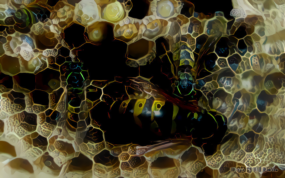 Bee 02 hexagon