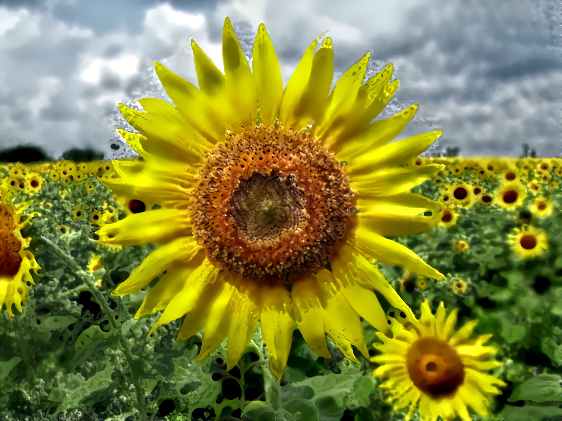 Sunflowerfractal in 3D (source: pixabay — filter: mandelbulb fractal) •