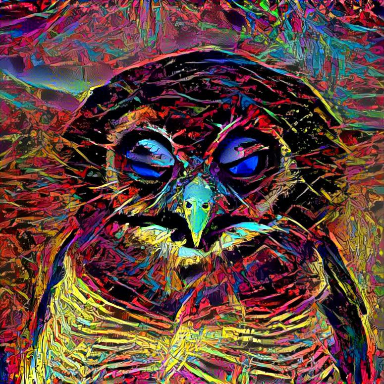 Funky Owl (own photo)