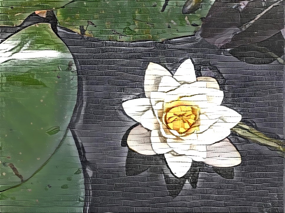 Wall Flower (2)