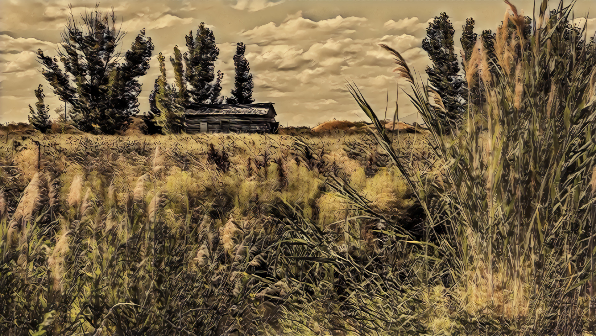 Prairie Homestead-01-A