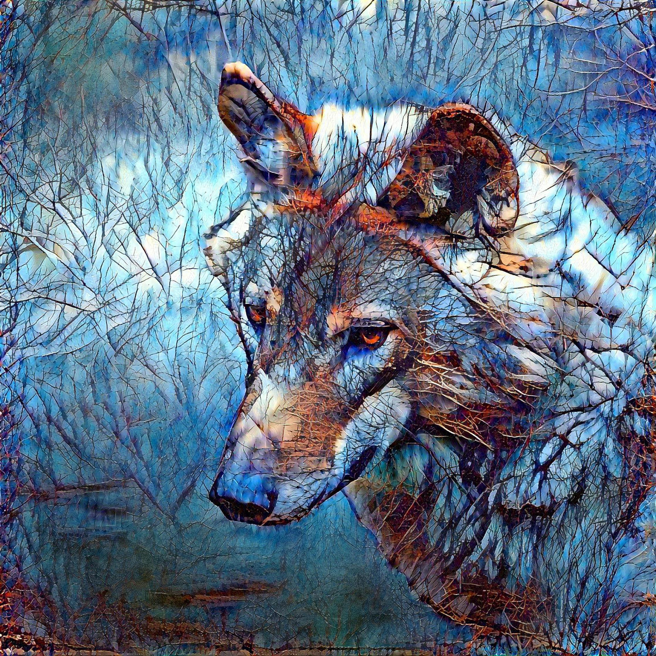 Winter, Woods and Wolf