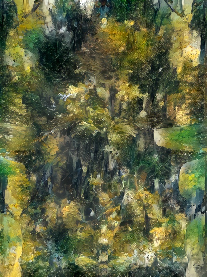 Bel’O Forest