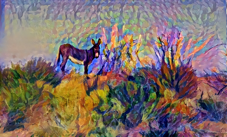 Antelope Valley Donkey