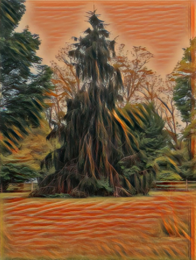 Strange tree- orange