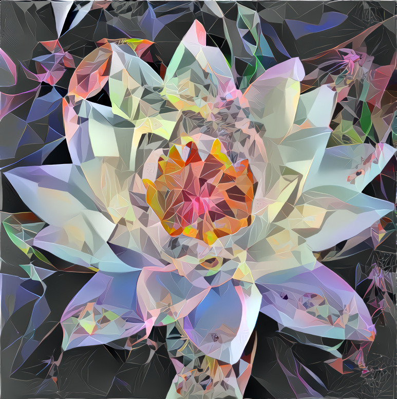 Lotus - crystalized