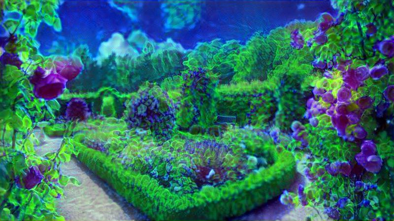 coral garden