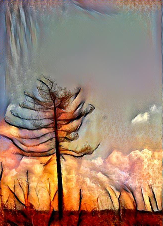 flaming tree