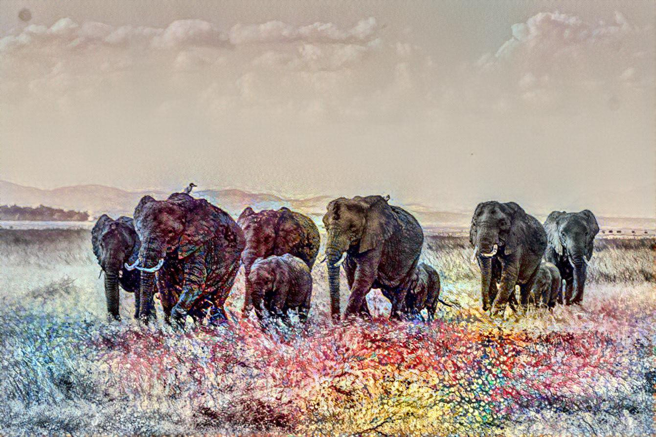 African Bush Elephants (Image by Rolf Dobberstein from Pixabay)