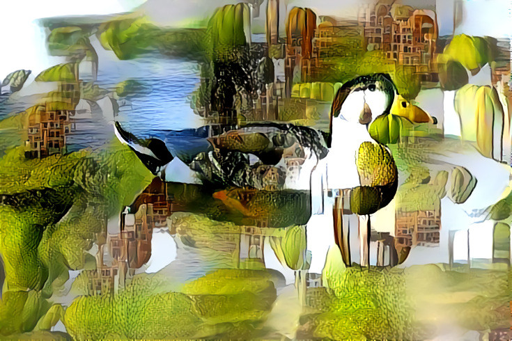 DDG Duck In The Water