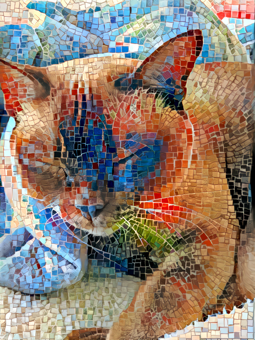 Holly mosaic with her own photo