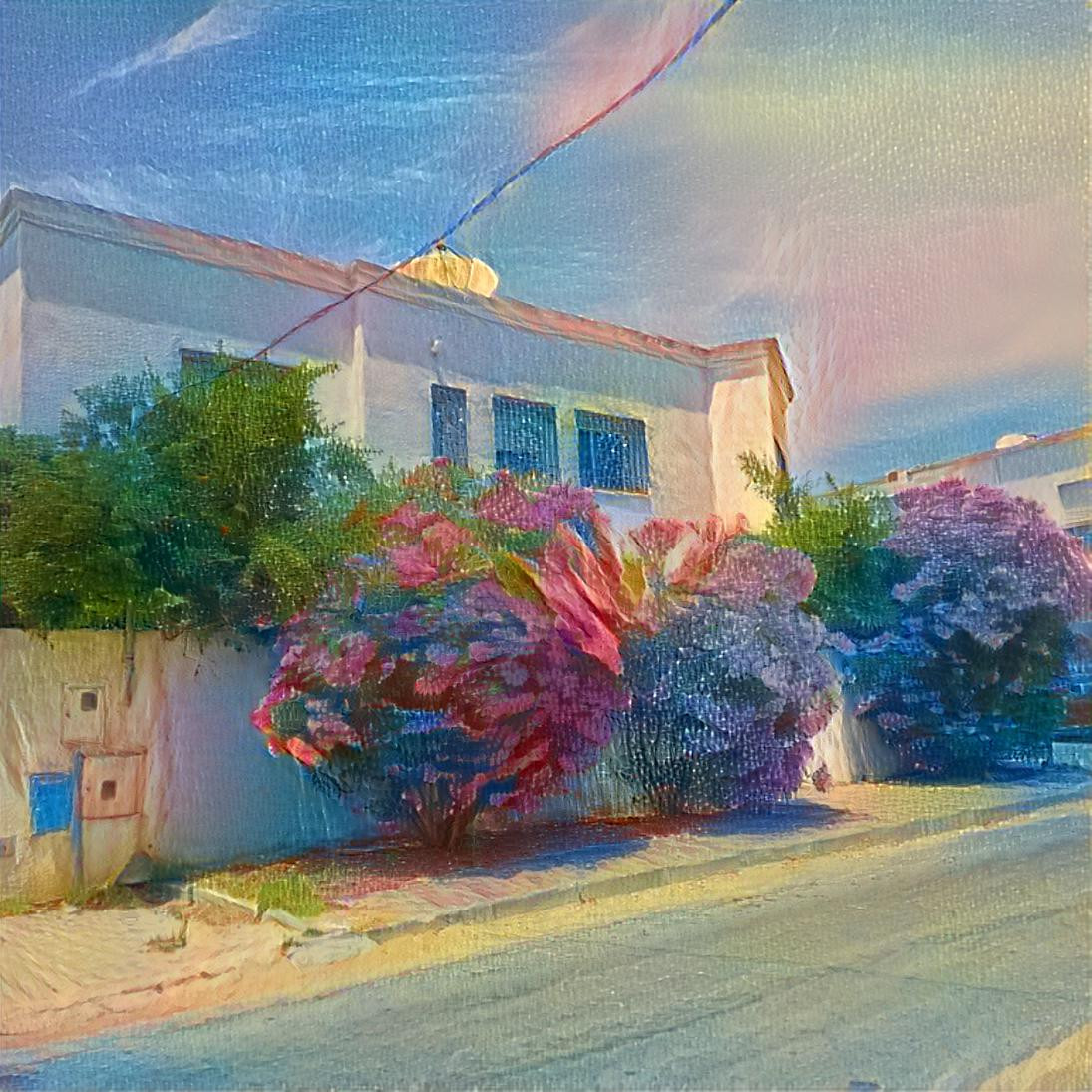 Carthage maison aux fleurs 2 by TYNA