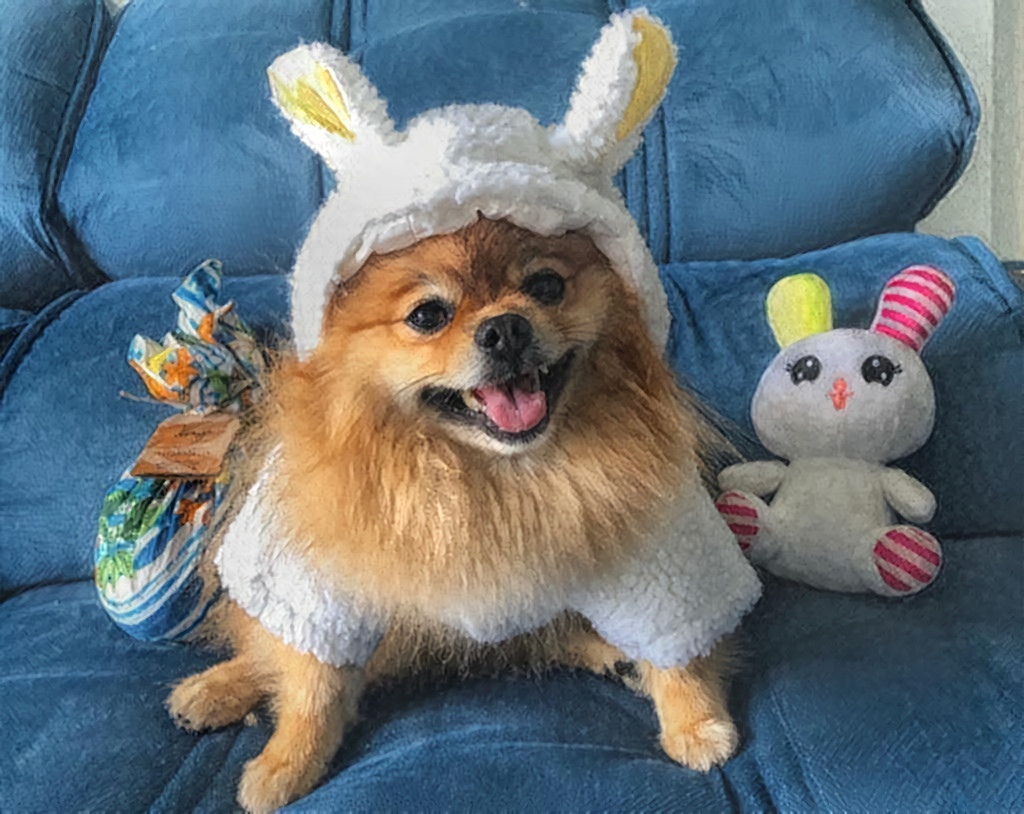 Yoda - Happy Easter