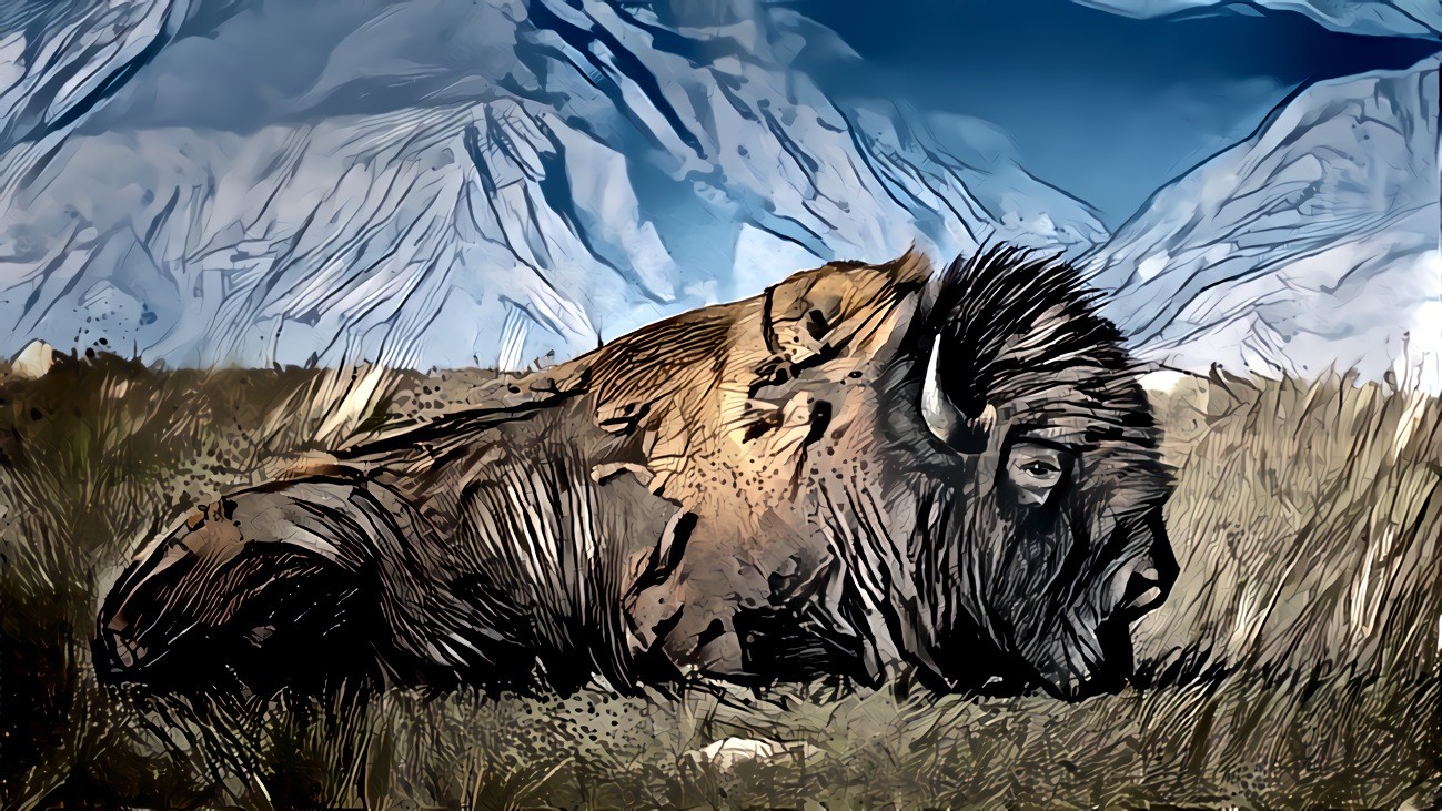 The Bison, The Steppes, and The Mountains
