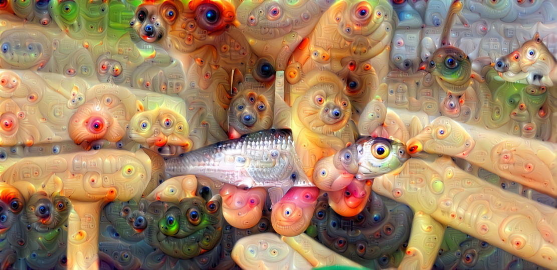 Fish 