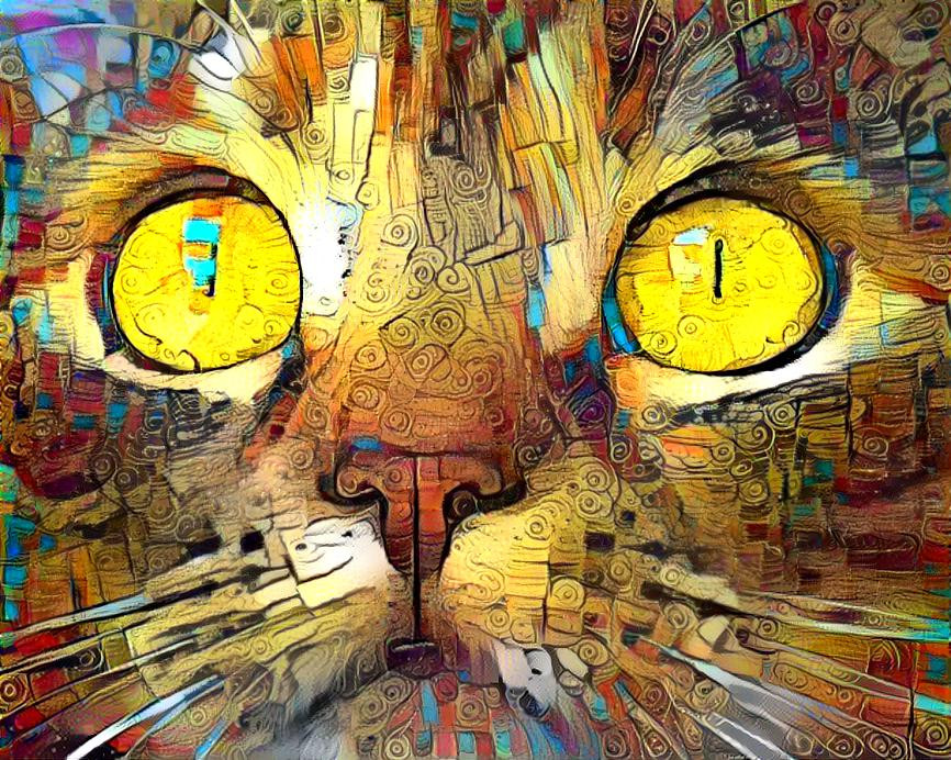 Colourful Cat Face