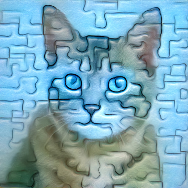 puzzle cat