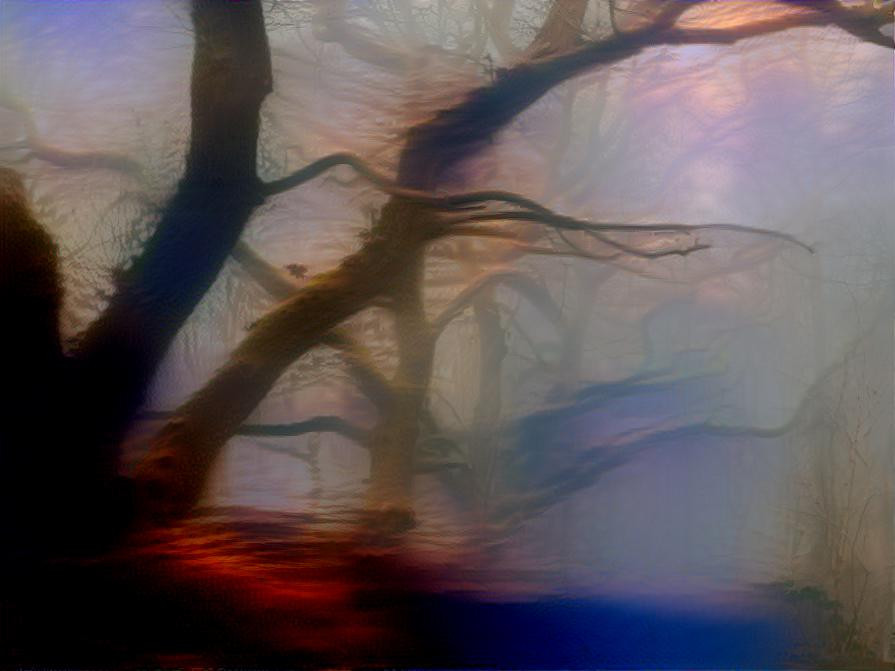 Trees In The Fog #2