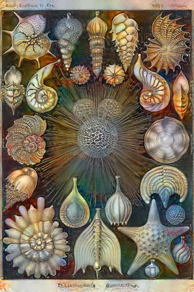 Hommage á Ernst Haeckel  art forms in nature