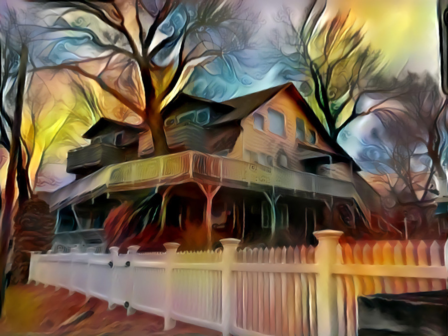 Tree House Dream