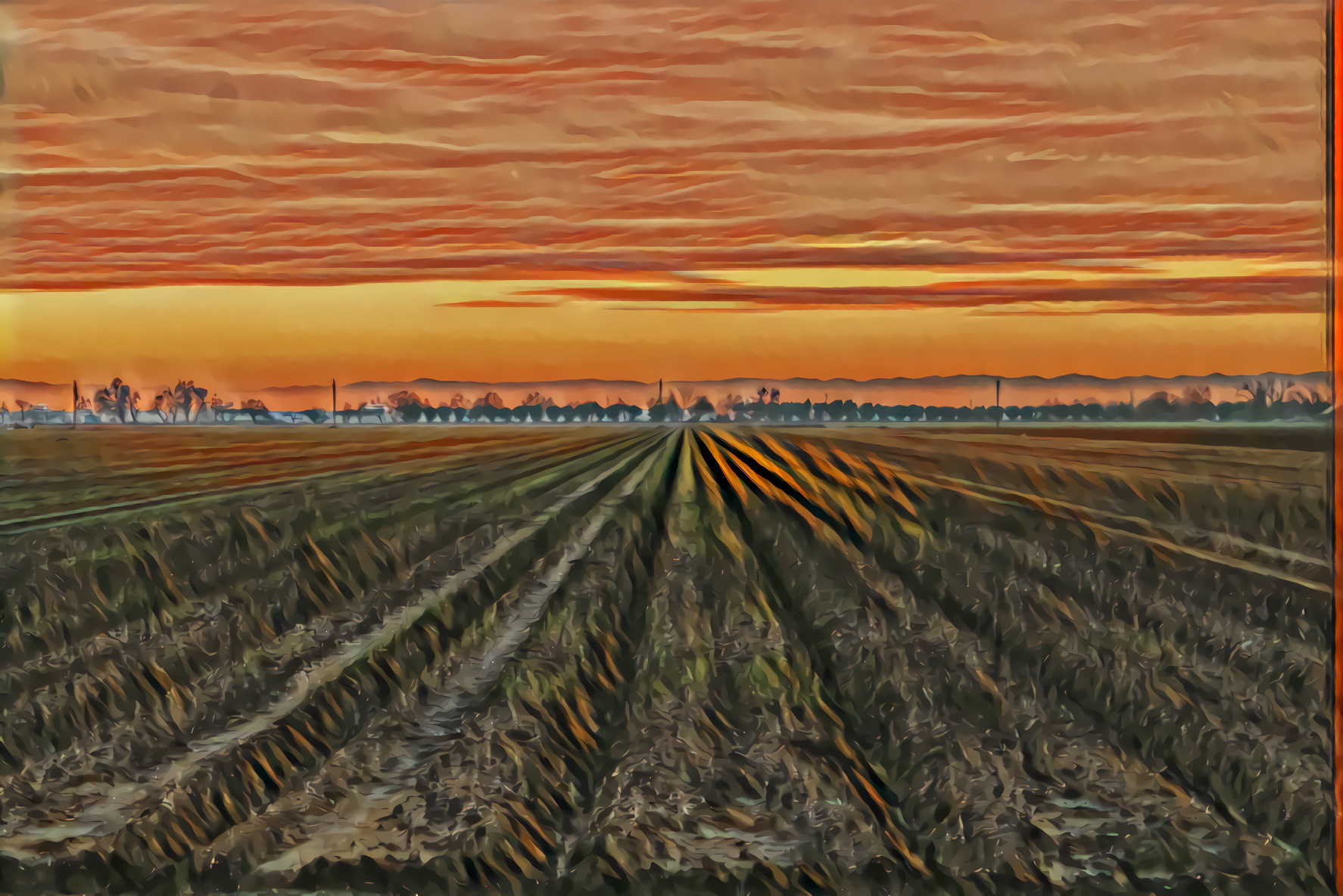 January between the coastal hills anD the Sierras is the Central Valley with its vast crop fields.  Source is my own photo.