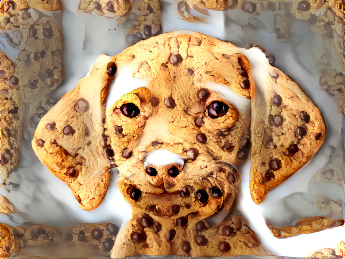 dog from famous meme - chocholate chip cookies 