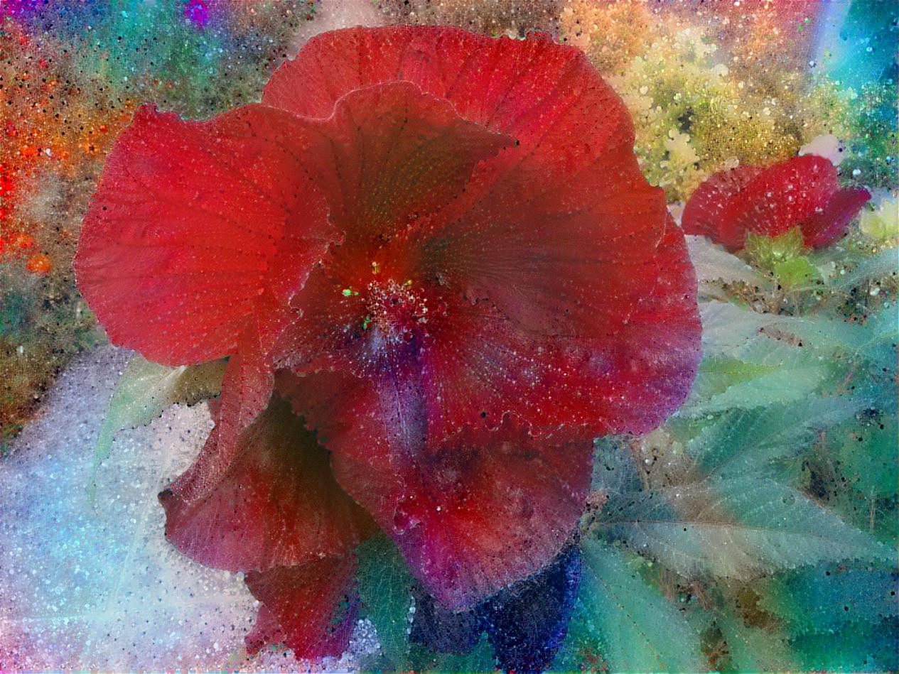 Hibiscus 21 background-2422556