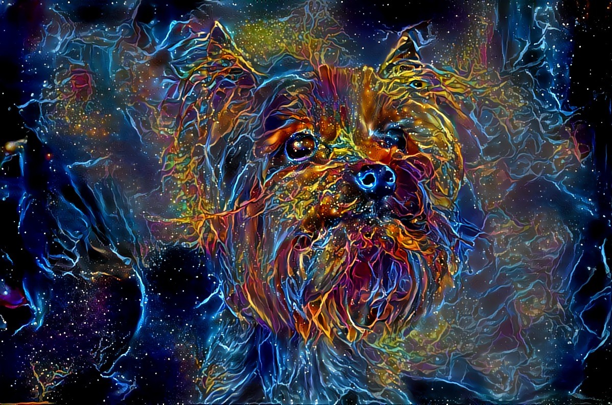 Space Puppy!