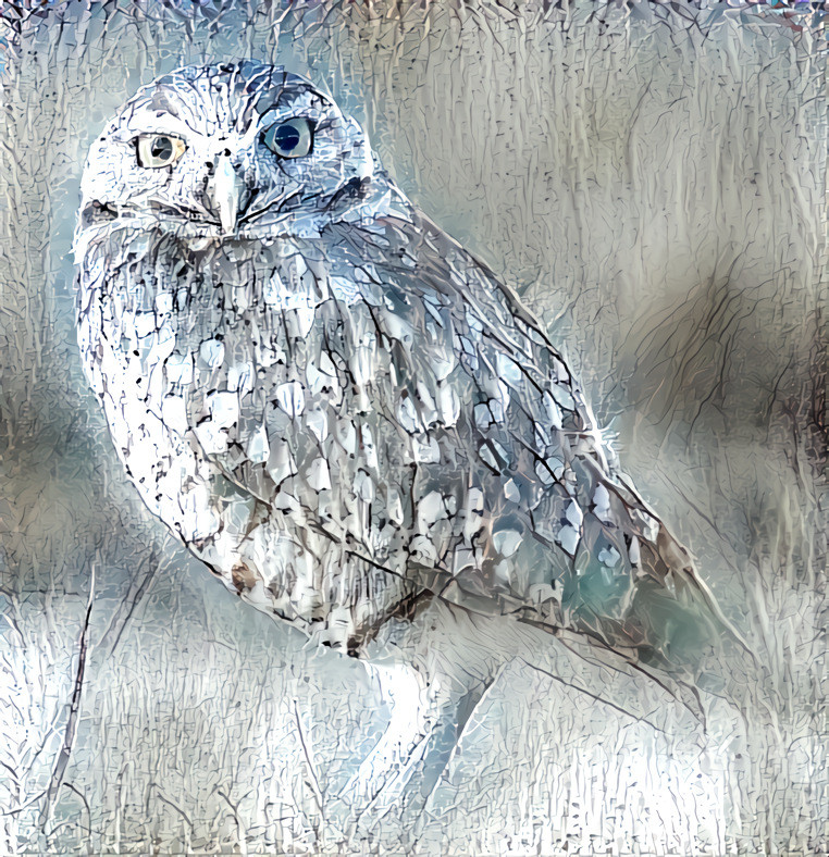 Winter owl ( from the series of 4 seasons ).