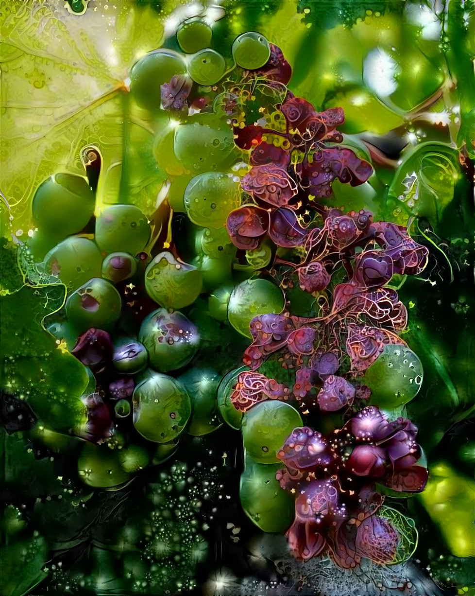 Here within the Vineyard, The sweetest fruit you find, Is not the young and juicy grape, But Raisins from the vine. - David J Crowther