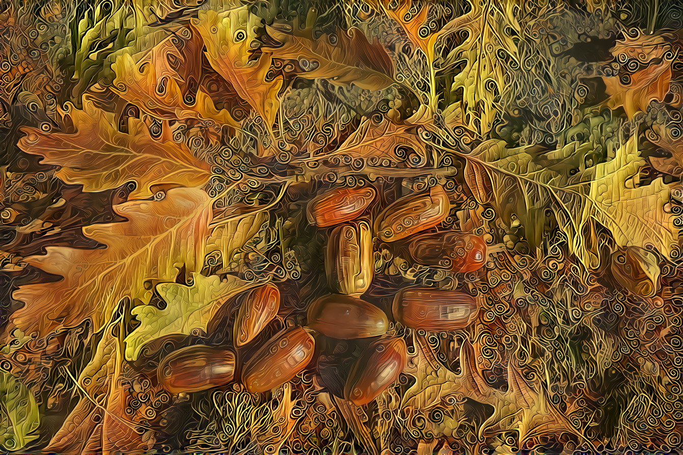 Fallen acorns