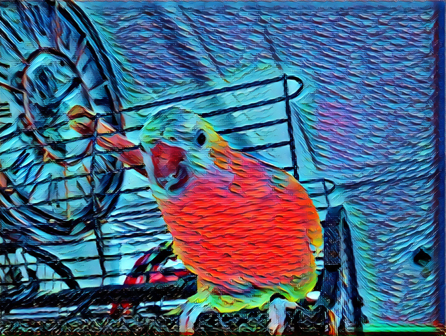 Color toy bird