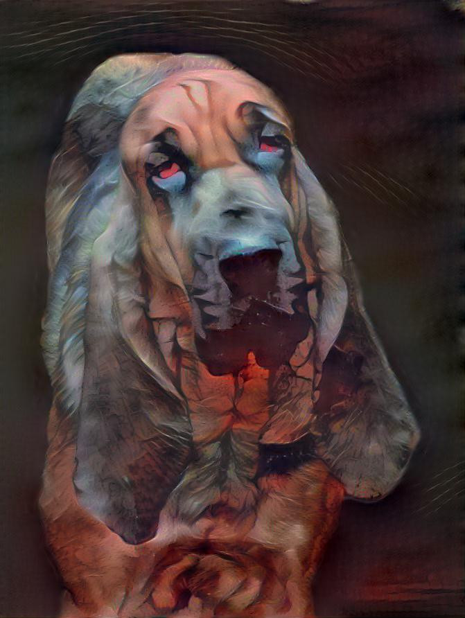 My bloodhound girl Brunhilda
