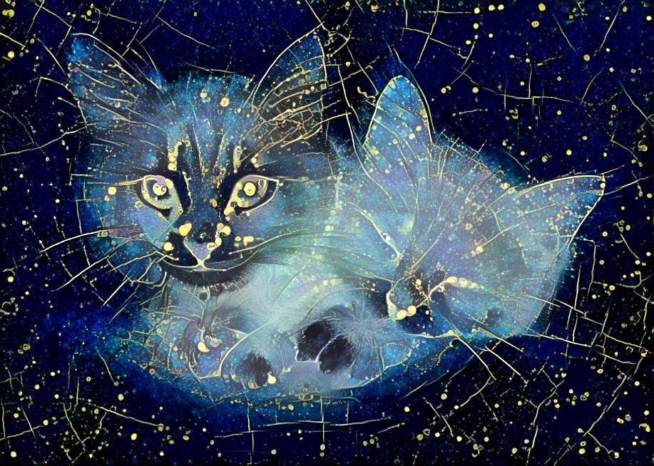 Cosmic Kittens