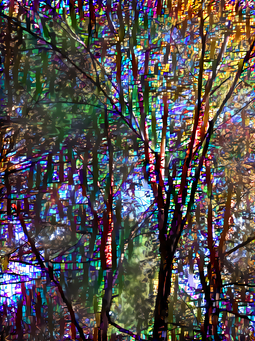 Stained-glass Trees