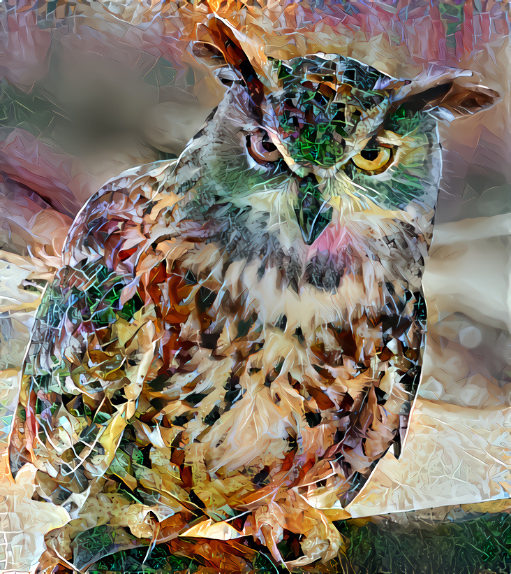 Autumn owl ( having fun with textures and owls :-)
