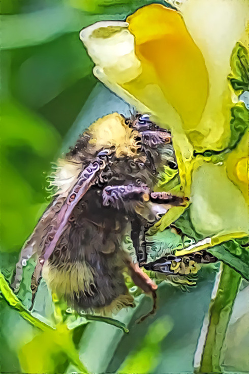 Alaskan Bee-06