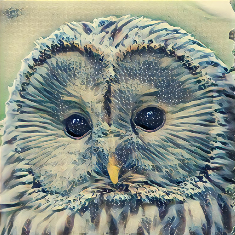 starry owl