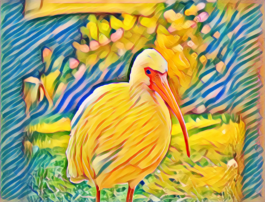 The ibis #1