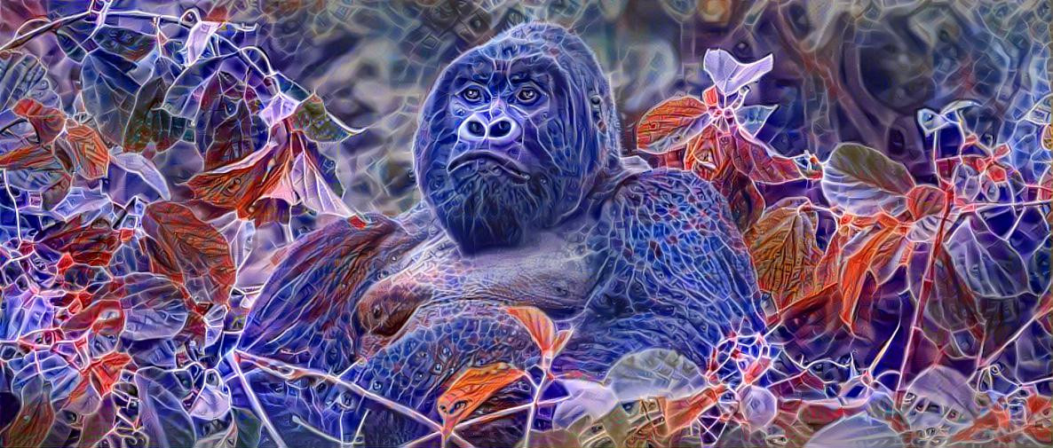 Gorilla Enlightenment