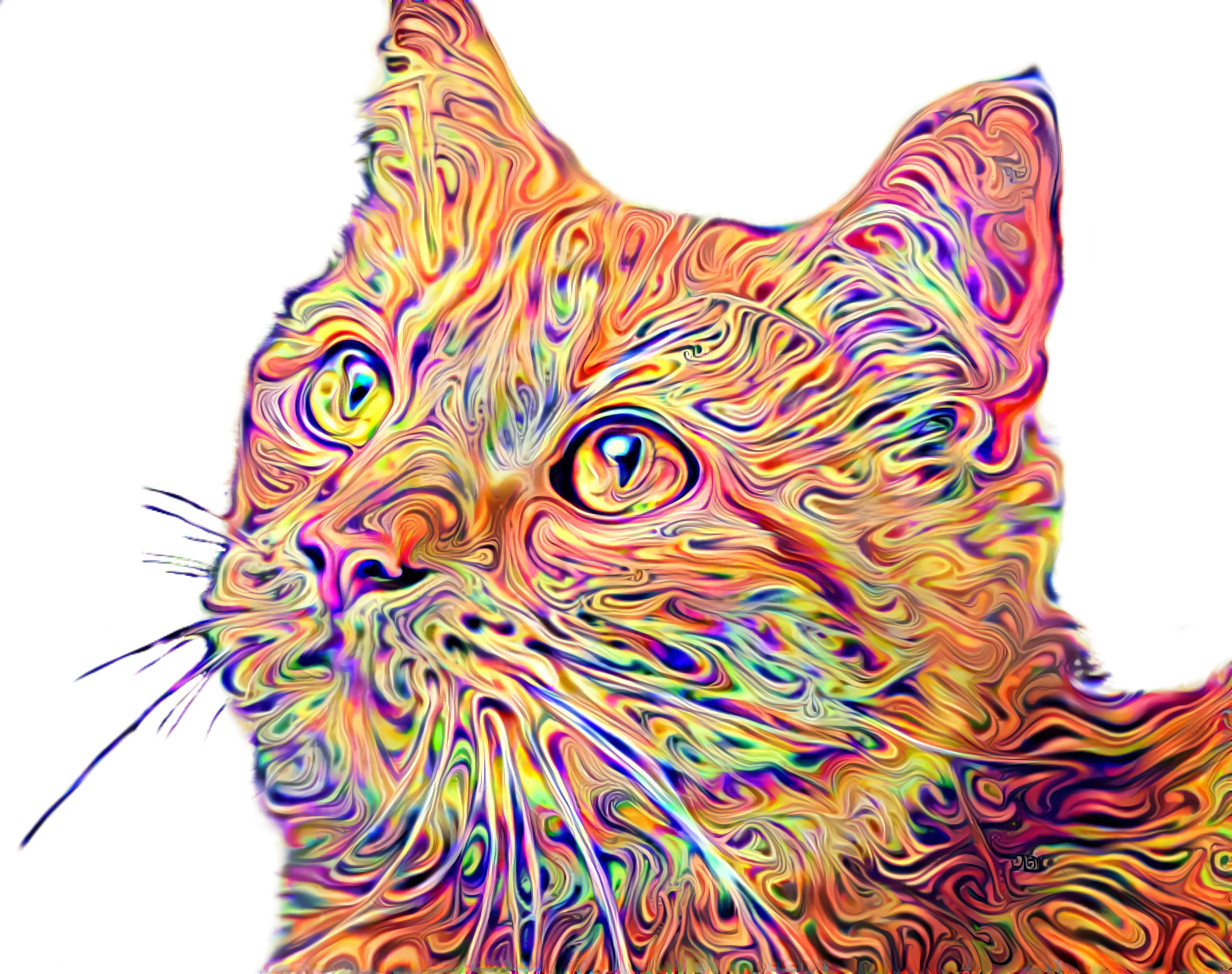 Psychedelic Cat - Style Art by Daniel W. Prust