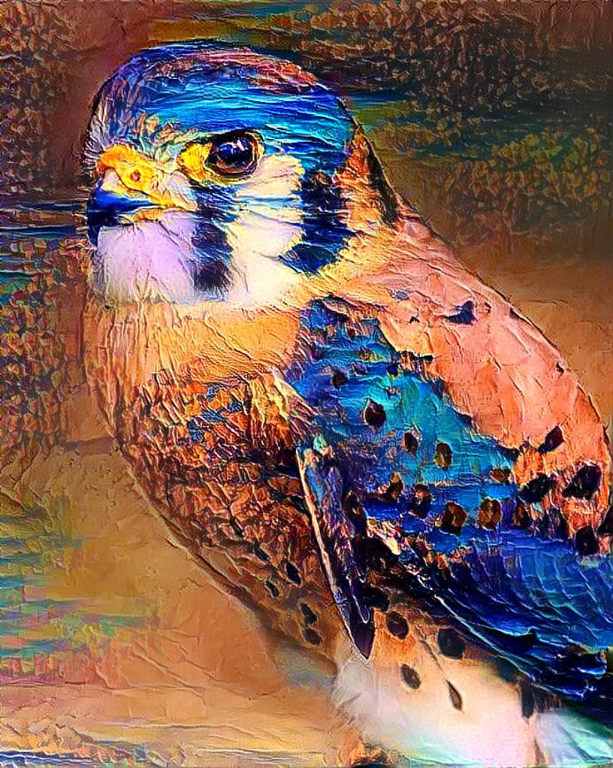 Vibrant Falcon