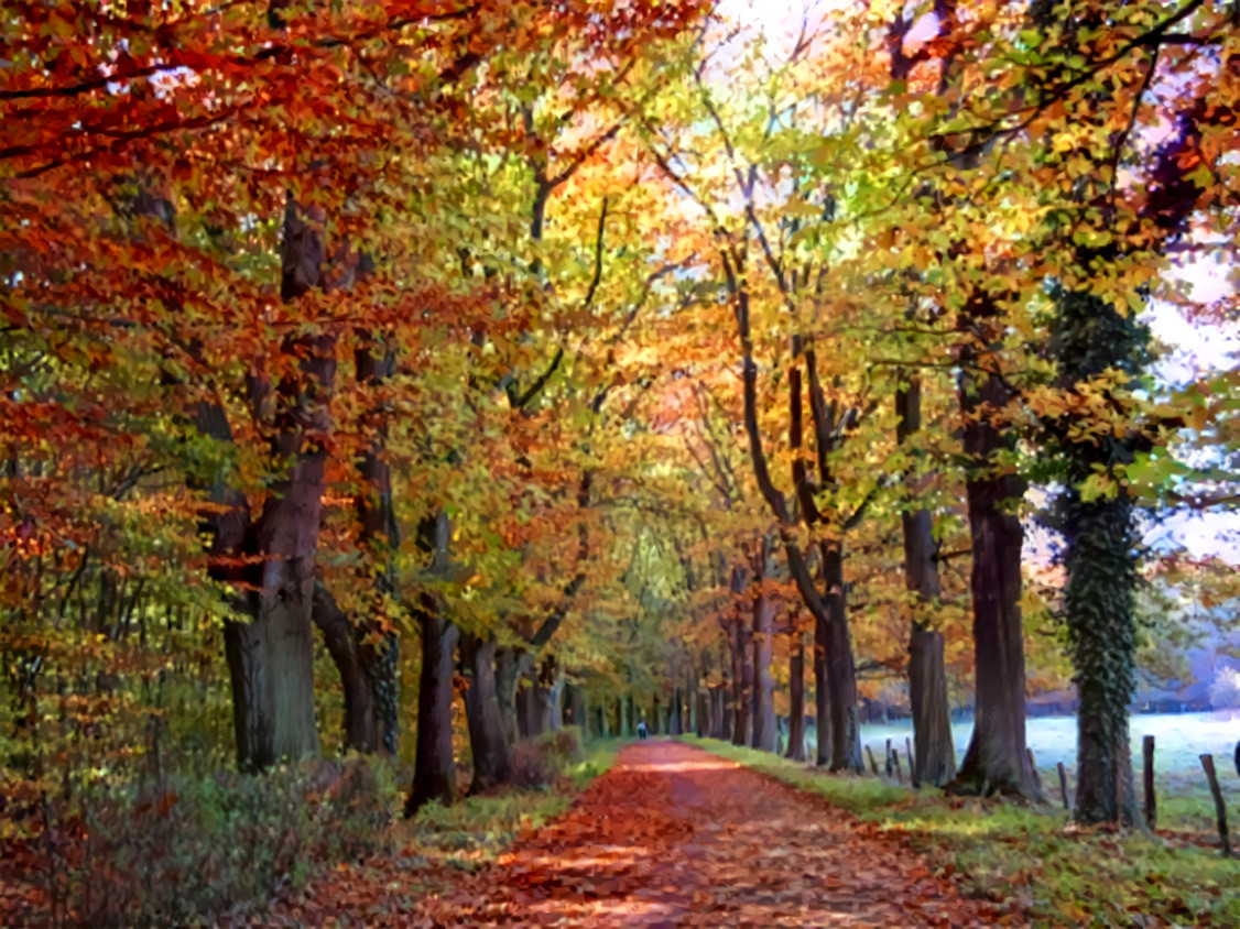 Autumn in the Boniburgerwald (Boniburger Forrest) (Germany)