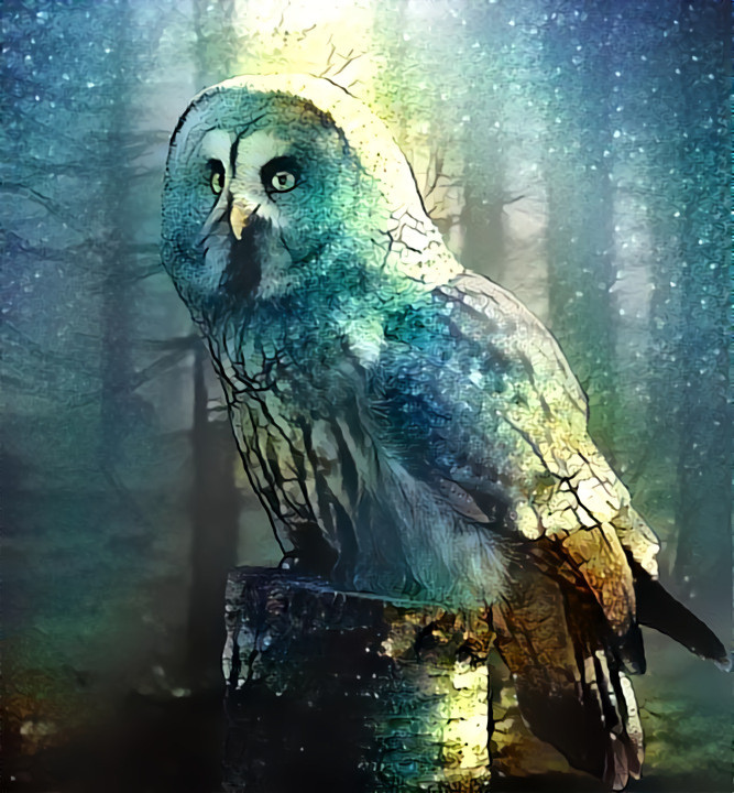 Keeper of the Forest.. image from Pixabay