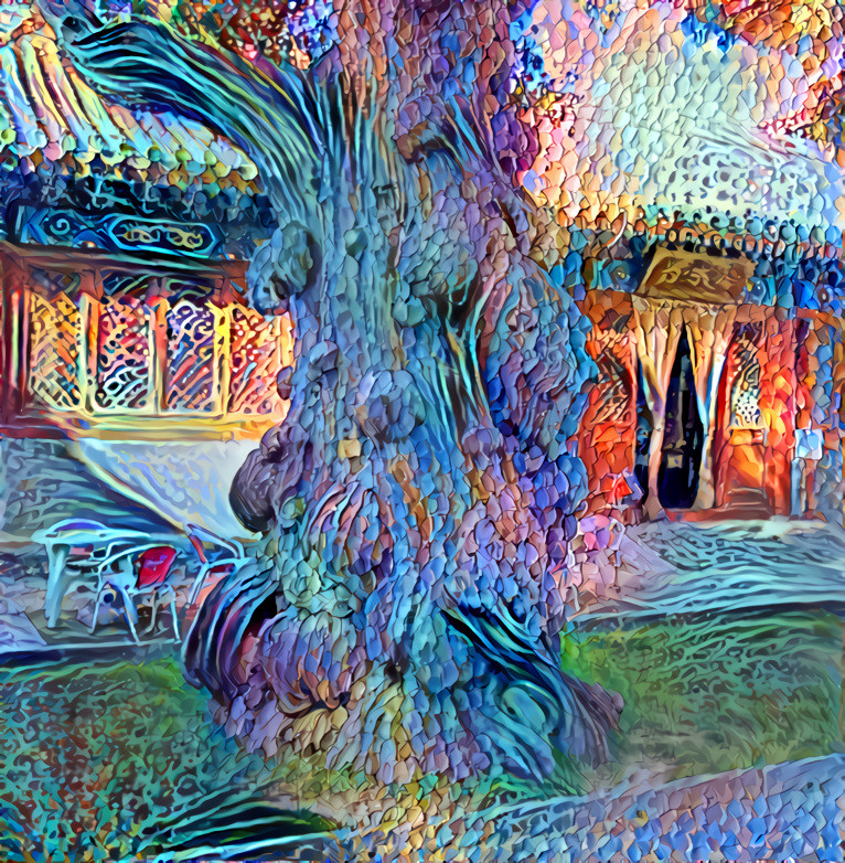 Burly Texture on Cypress Tree