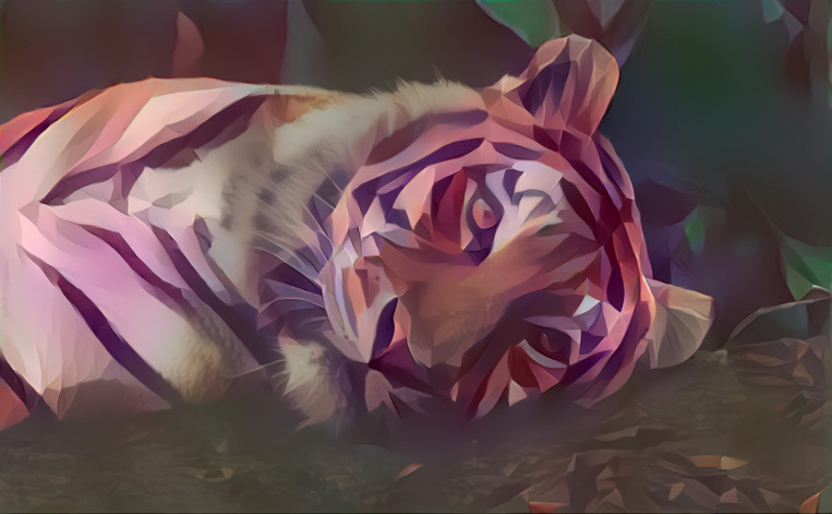 pastel tiger